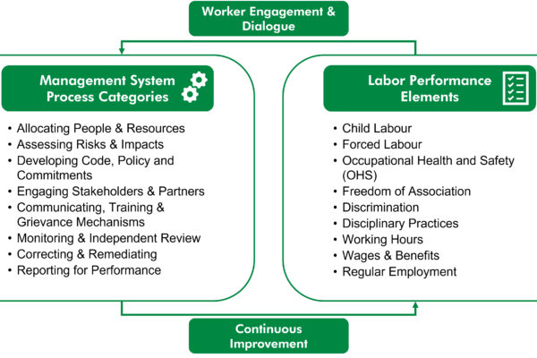Management System Process Categories: Allocating People & Resources, Assessing Risks & Impacts, Developing Code, Policy and Commitments, Engaging Stakeholders & Partners, Communicating, Training & Grievance Mechanisms, Monitoring & Independent Review, Correcting & Remediating, Reporting for Performance. Labor Performance Elements: Child Labour, Forced Labour, Occupational Health and Safety (OHS), Freedom of Association, Discrimination, Disciplinary Practices, Working Hours, Wages & Benefits, Regular Employment . These two concepts are depicted in a cycle , with the additional concepts of Worker engagement & Dialogue and continual improvement connecting them.