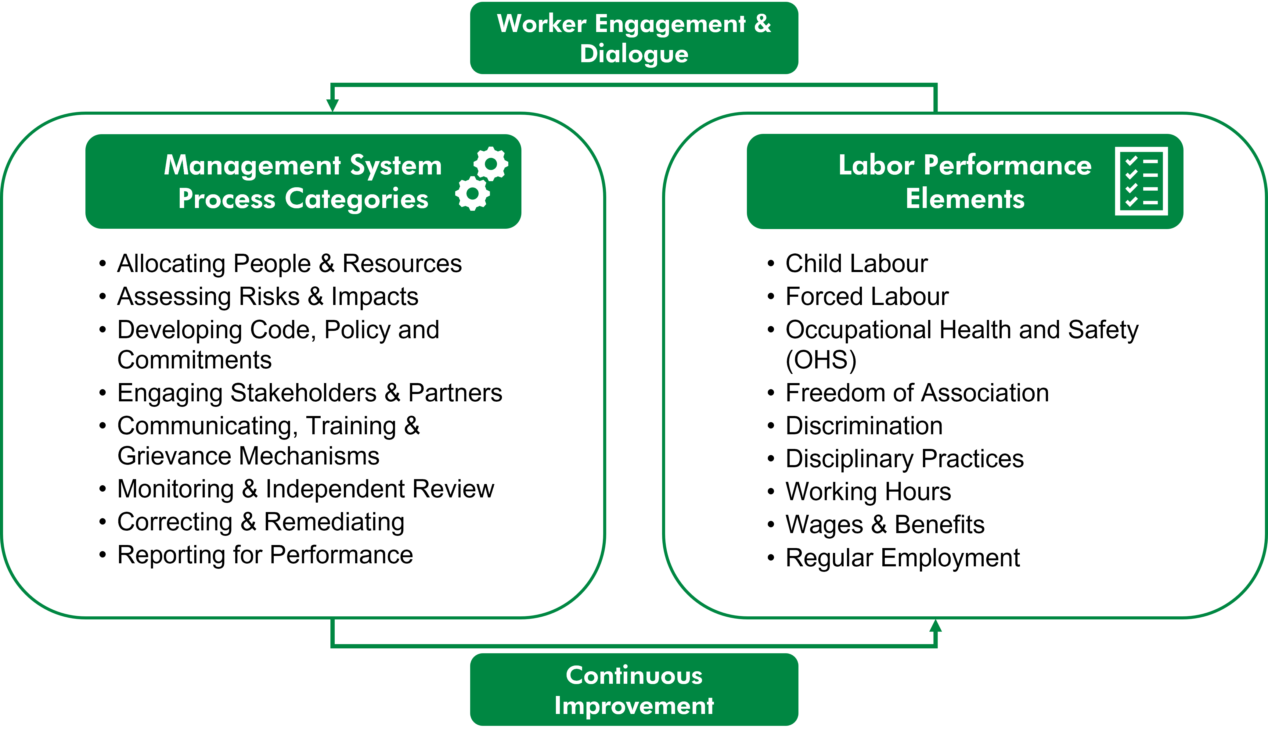 Management System 
Process Categories: 
Allocating People & Resources,
Assessing Risks & Impacts,
Developing Code, Policy and Commitments,
Engaging Stakeholders & Partners,
Communicating, Training & Grievance Mechanisms,
Monitoring & Independent Review,
Correcting & Remediating,
Reporting for Performance.
Labor Performance 
Elements: 
Child Labour, 
Forced Labour, 
Occupational Health and Safety (OHS), 
Freedom of Association, 
Discrimination, 
Disciplinary Practices, 
Working Hours, 
Wages & Benefits, 
Regular Employment .
These two concepts are depicted in a cycle , with the additional concepts of Worker engagement & Dialogue and continual improvement connecting them.