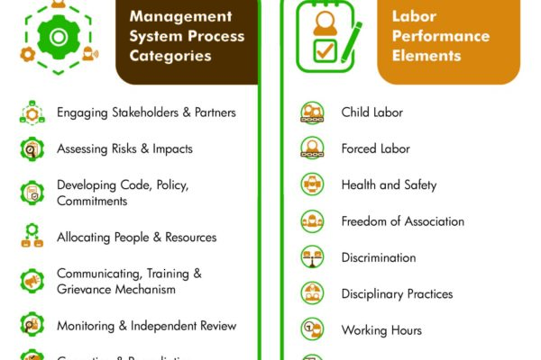 Management System Process Categories: Allocating People & Resources, Assessing Risks & Impacts, Developing Code, Policy and Commitments, Engaging Stakeholders & Partners, Communicating, Training & Grievance Mechanisms, Monitoring & Independent Review, Correcting & Remediating, Reporting for Performance. Labor Performance Elements: Child Labour, Forced Labour, Occupational Health and Safety (OHS), Freedom of Association, Discrimination, Disciplinary Practices, Working Hours, Wages & Benefits, Regular Employment . These two concepts are depicted in a cycle , with the additional concepts of Worker engagement & Dialogue and continual improvement connecting them.